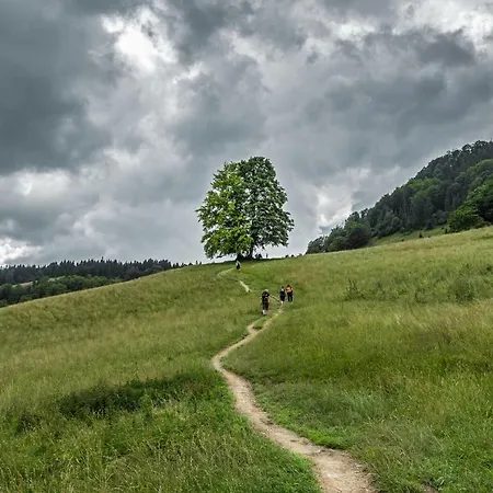 Komfortowy Dom W Kroscienku Nad Dunajcem * Krościenko