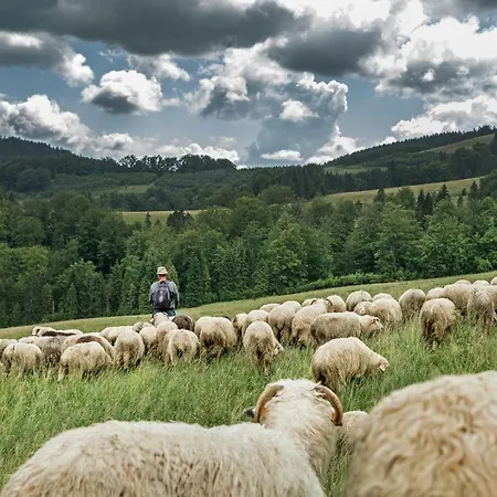 Komfortowy Dom W Kroscienku Nad Dunajcem